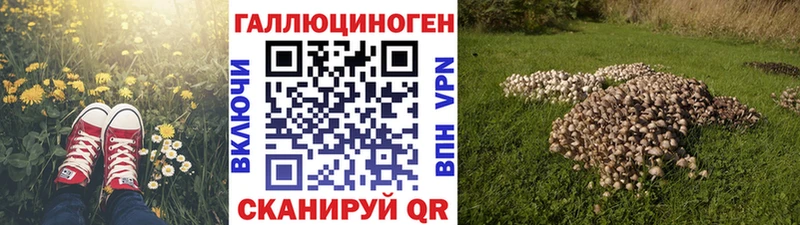 Галлюциногенные грибы MAGIC MUSHROOMS Ачхой-Мартан