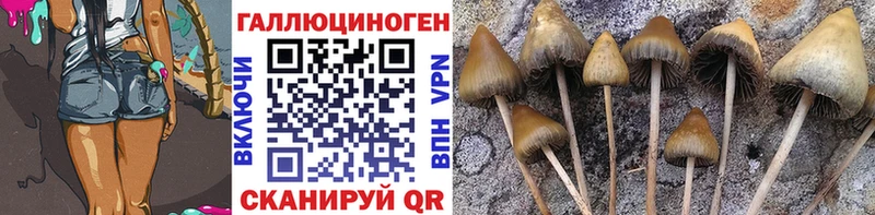 Галлюциногенные грибы Magic Shrooms  Ачхой-Мартан 