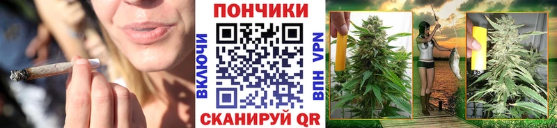 Каннабис конопля Ачхой-Мартан